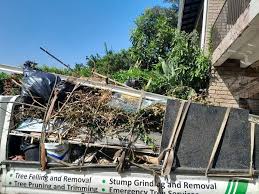 Best Yard Waste Removal  in Wellsburg, WV